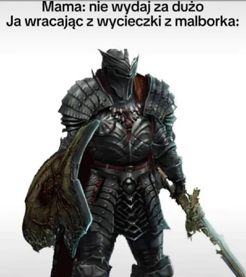 Wracam z wycieczki z Malborka