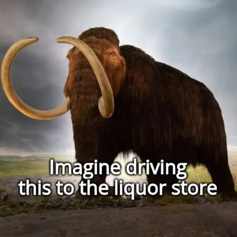 Driving a Mammoth to the Liquor Store