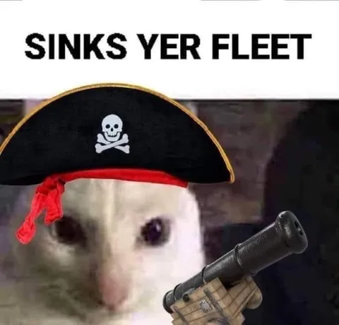 Sinks Yer Fleet Pirate Hamster