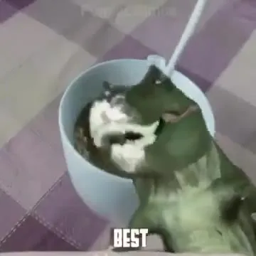 Crocodile Makes a Coffee Cup