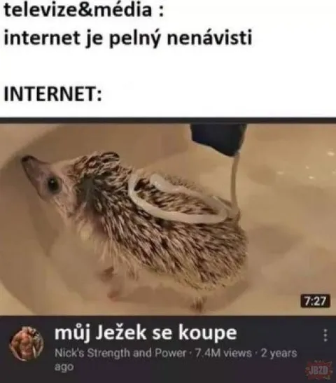 Můj ježek se koupe