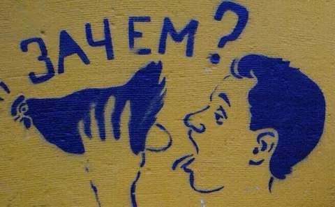 Зачем? Кот и человек