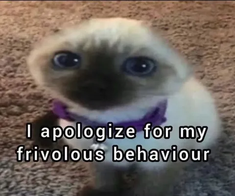 Apologetic Siamese Cat