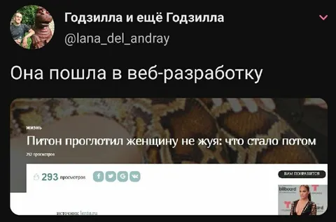 Она пошла в веб-разработку