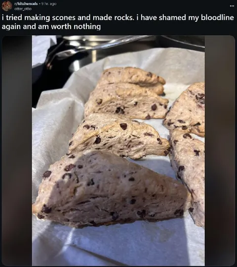 Failed Chocolate Chip Scones