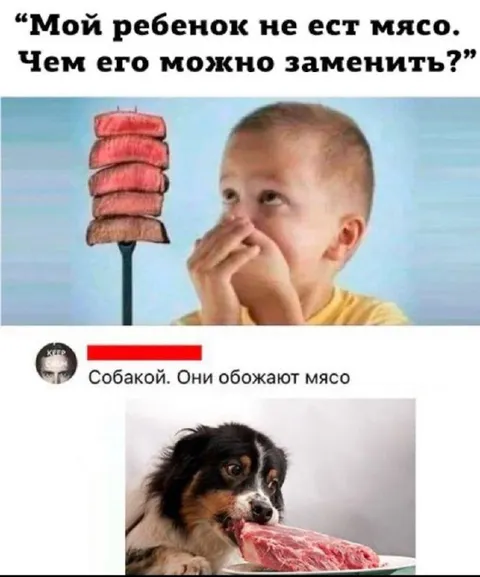 Чем заменить мясо ребенку