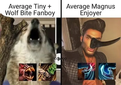 Average Tiny Fan vs Magnus Enjoyer