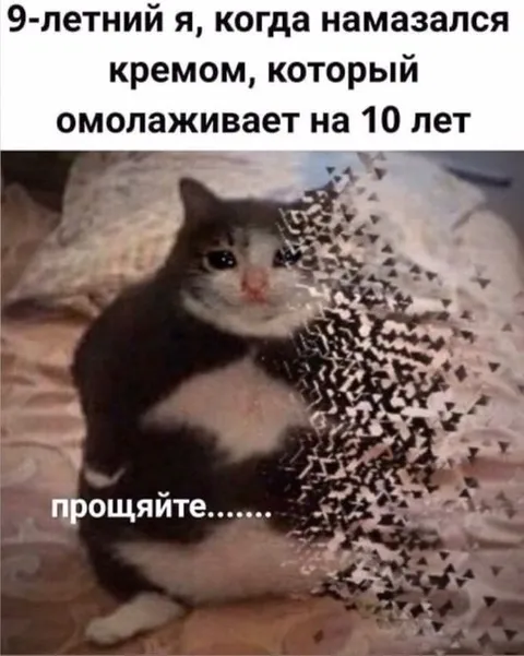 Кот исчезает от омолаживающего крема