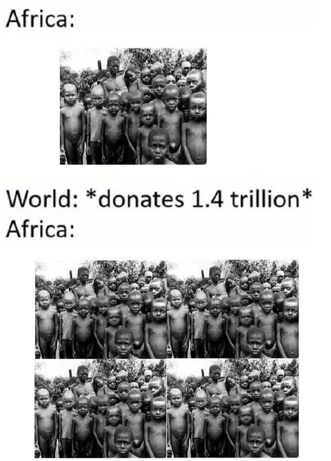 Africa Multiplies the Donation