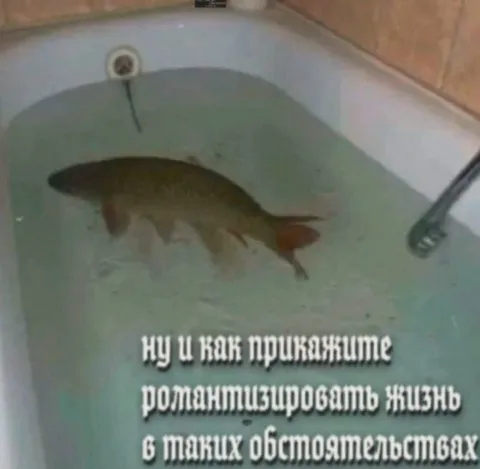 Как романтизировать жизнь в ванной