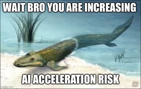 AI Acceleration Risk