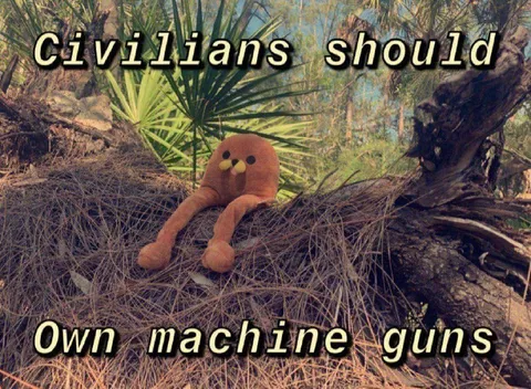 Civilians Should Own Machine Guns