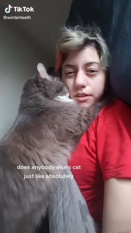 Cat Needs to Be Closer