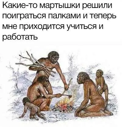 Мартышки заставили учиться и работать