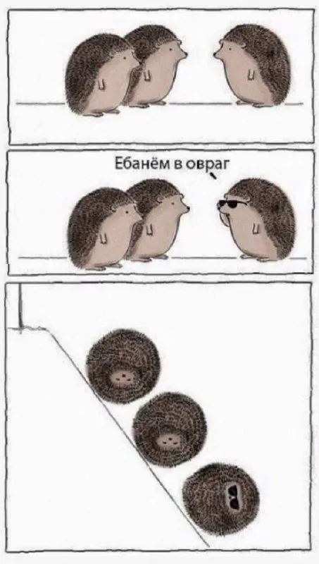 Ебанём в овраг