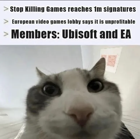 Wide-Eyed Cat Reacts to Ubisoft and EA