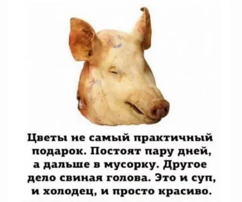 Свиная голова практичнее цветов