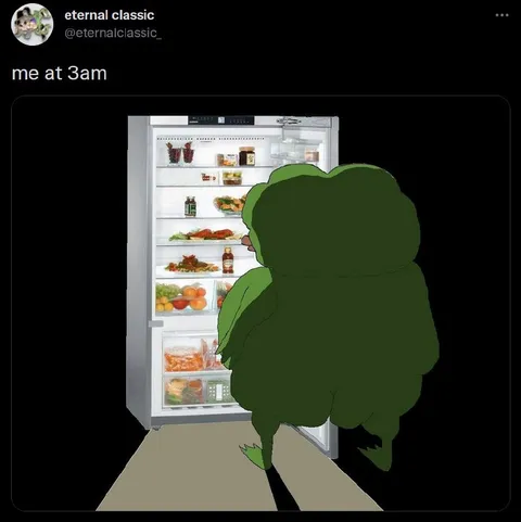 Me at 3am Fridge
