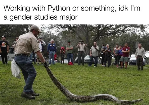 Python Programming or Gender Studies