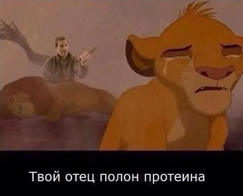 Твой отец полон протеина