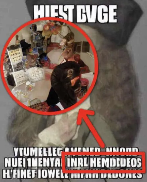 HIEST BVGE versteckter Bär