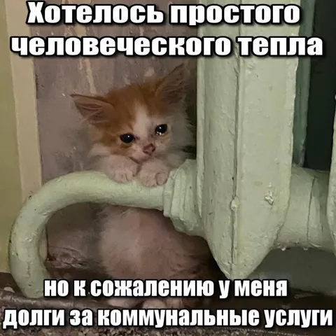 Долги за коммунальные услуги