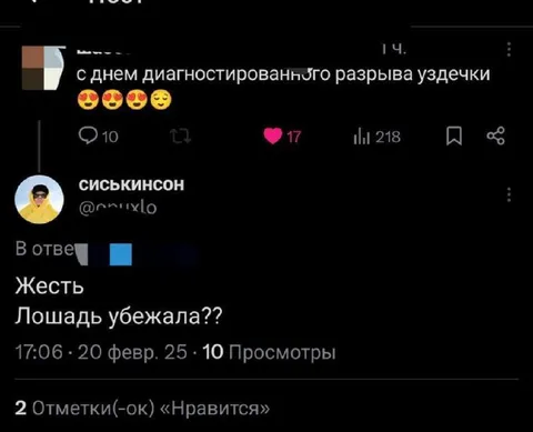 Лошадь убежала из-за разрыва уздечки