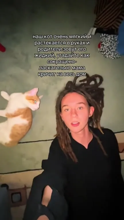 Как кот стал жидким