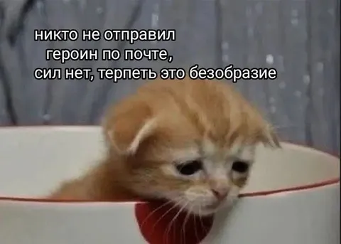 Никто не отправил героин