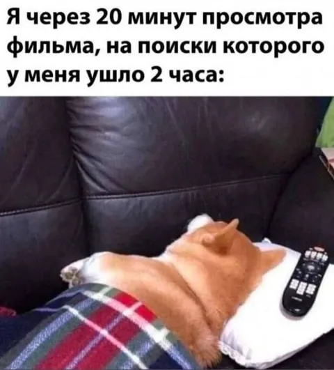 Поиск фильма занял два часа