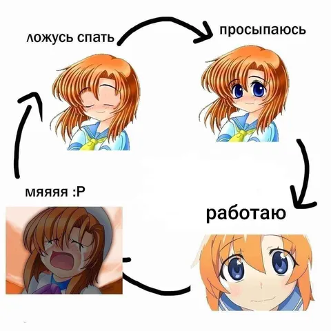 Цикл сна, пробуждения и работы