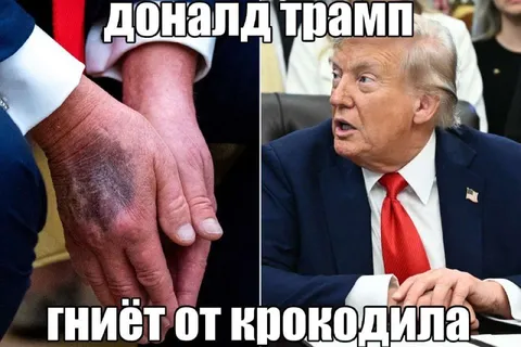 Трамп и укус крокодила
