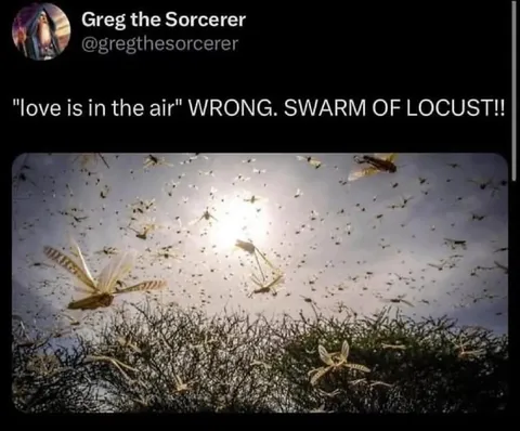 Love Is in the Air Wrong