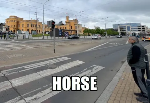 Horse at the Crosswalk