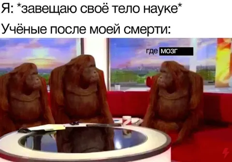 Учёные ищут мозг после смерти
