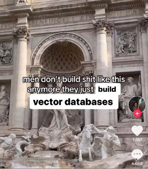 Men Build Vector Databases Now