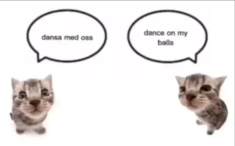 Cats Mishear the Dance Song