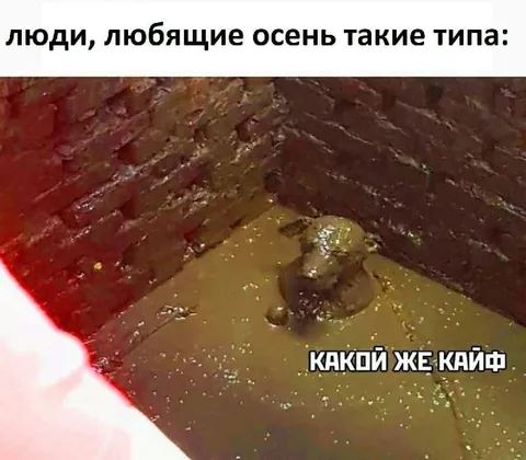 Любители осени кайфуют в грязи
