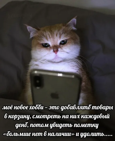 Новое хобби — добавлять товары в корзину