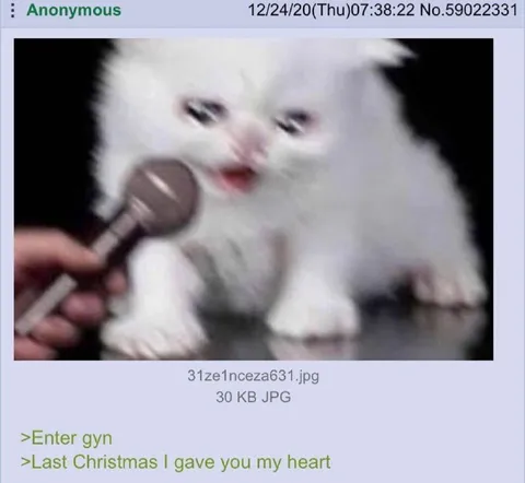 Kitten Sings Last Christmas