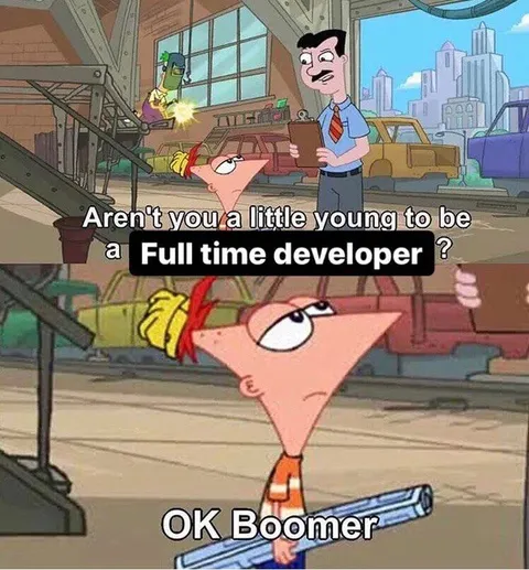 Full Time Developer OK Boomer