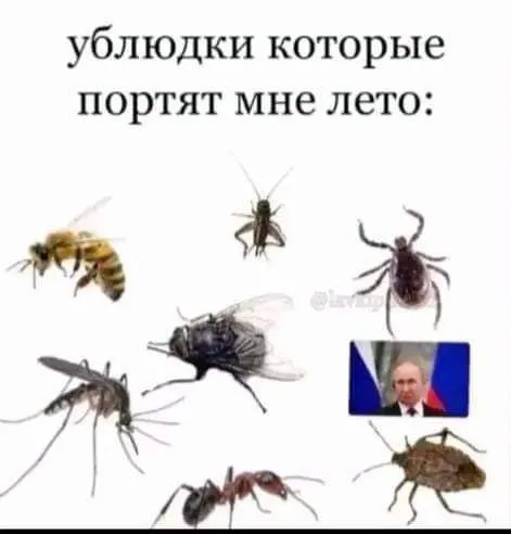 Ублюдки, которые портят мне лето