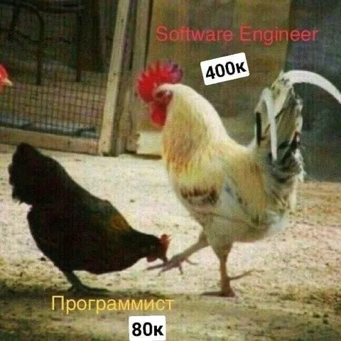 Программист и Software Engineer