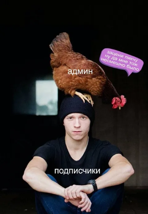 Админ и несмешная пикча