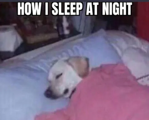 How I Sleep at Night
