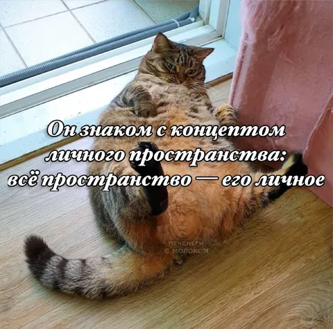 Всё пространство его личное
