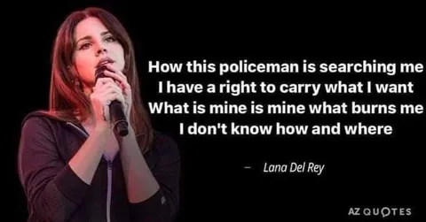 Lana Del Rey Police Search Quote