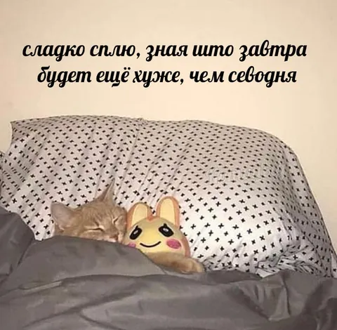 Сладко сплю перед трудным днём