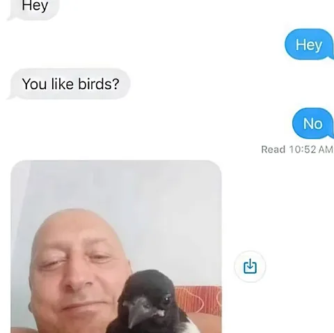 You Like Birds No