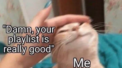 Cat Enjoying Playlist Compliment
